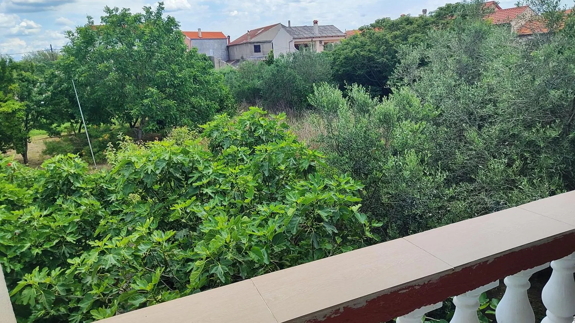 Best Buy Seaview Holiday Retro Apartments & Rooms Giovanni Nin 0*,